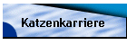 Katzenkarriere