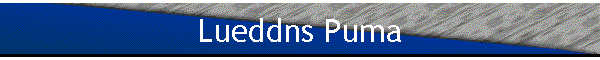 Lueddns Puma
