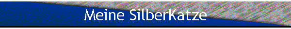 Meine SilberKatze