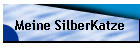 Meine SilberKatze